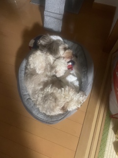 Ȃ